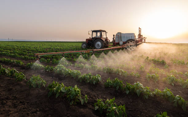 Best Pest Inspection Near Me  in Alorton, IL