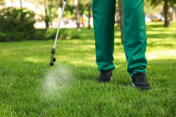 Best Affordable Pest Control Services  in Alorton, IL
