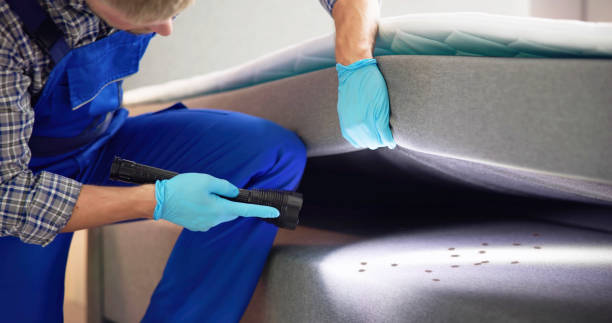 Best Termite Control Services  in Alorton, IL