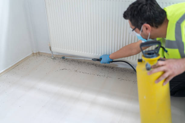 Best Affordable Pest Control Services  in Alorton, IL