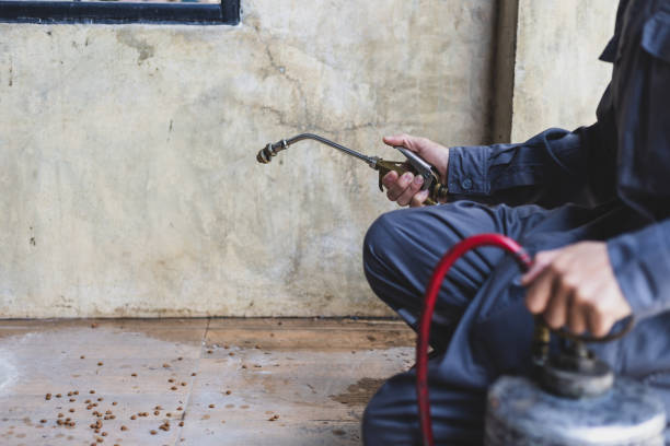 Best Termite Control Services  in Alorton, IL